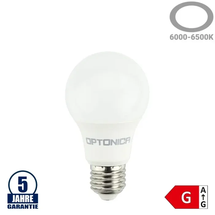 10W LED E27 A60 Birne Kunststoff Professional Kaltweiß