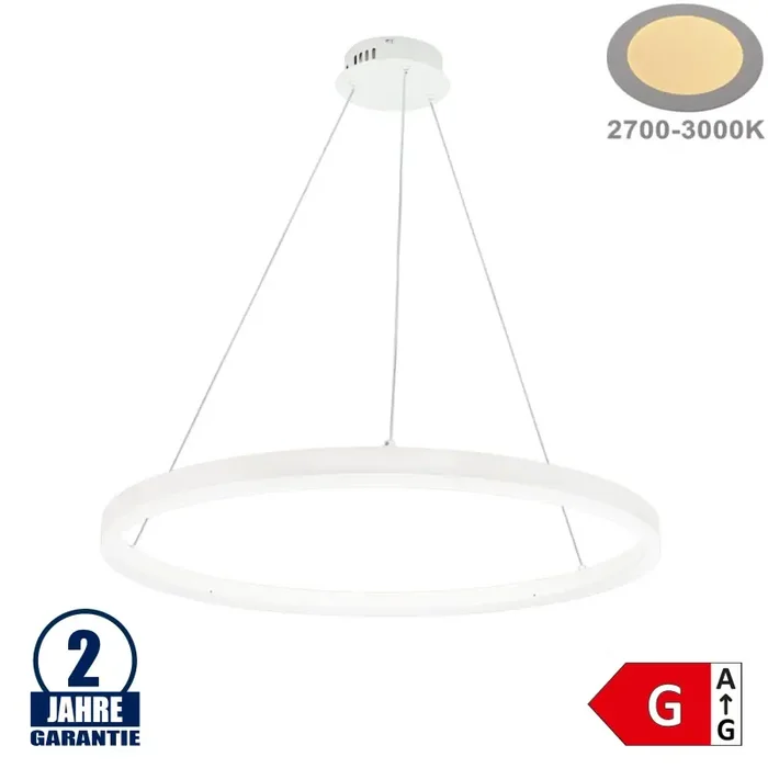 22W LED Pendelleuchte Warmweiß Weiß Ø60cm