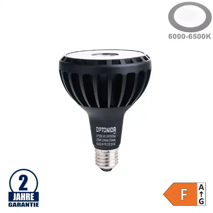 30W LED Lampe E27/PAR30 Kaltweiß Schwarz