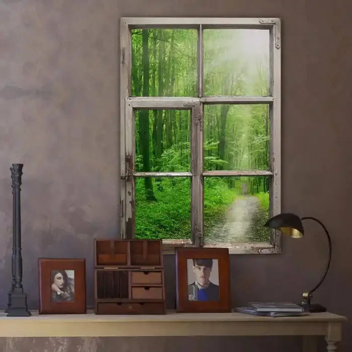 3D Wandtattoo Fenster Shabby – Sunny Forest