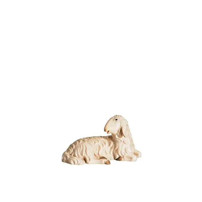 A-Schaf schauend links