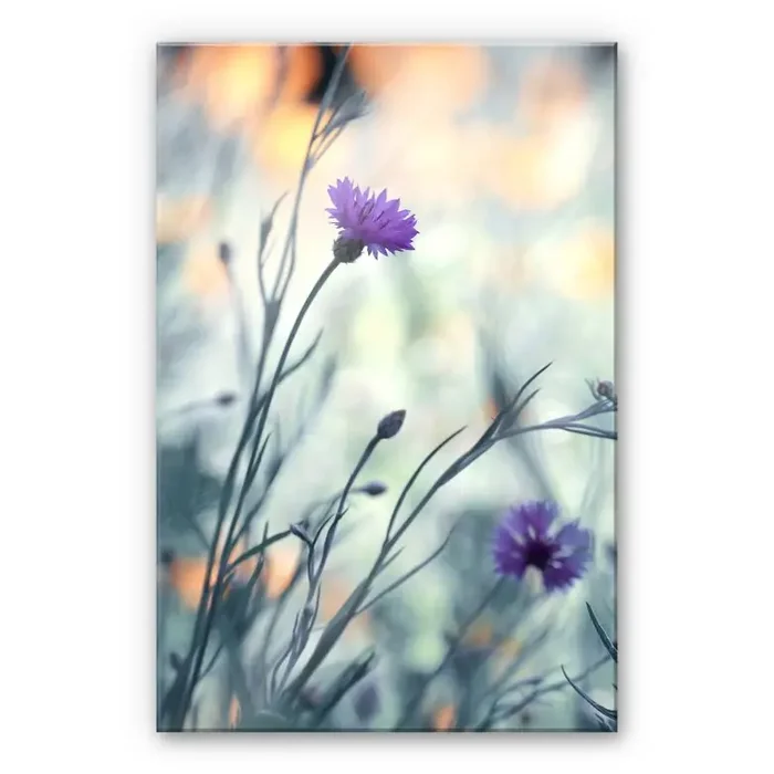 Acrylglasbild Bravin – Luminous purple