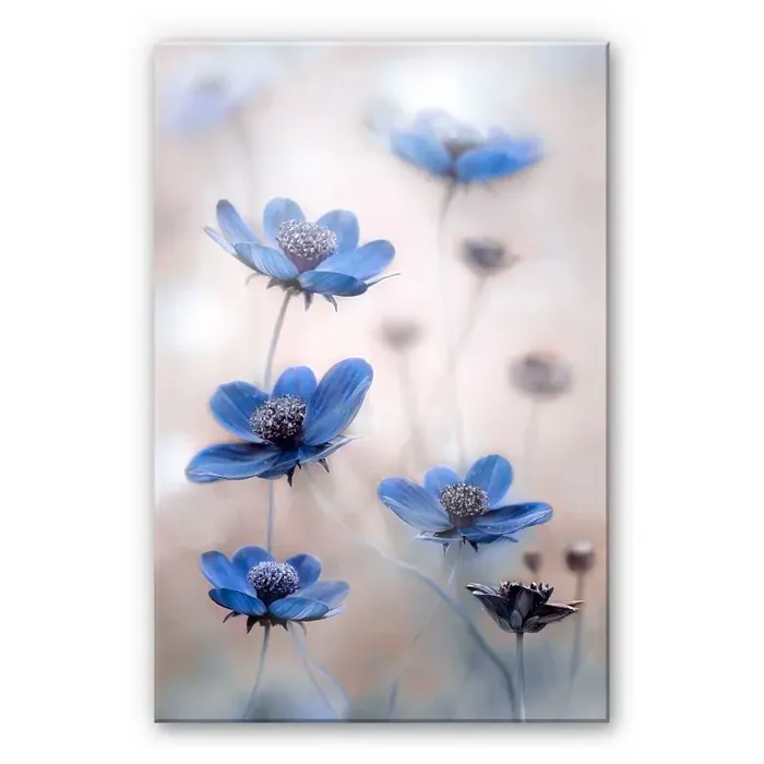 Acrylglasbild Disher – Blue Cosmos