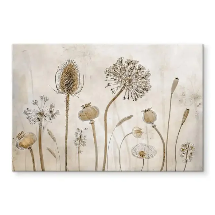 Acrylglasbild Disher – Trockenblumen