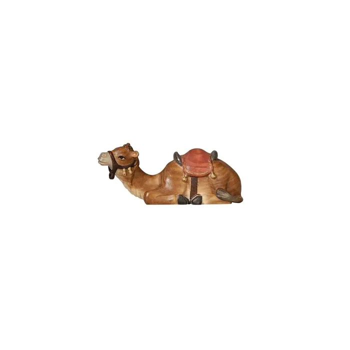 AD Camel lying