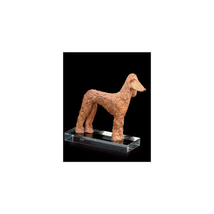 Afghan. Windhund (mit Plexiglass.)