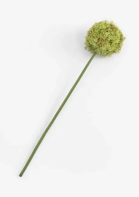 Allium Spray Kunstblume H90cm – Gruen