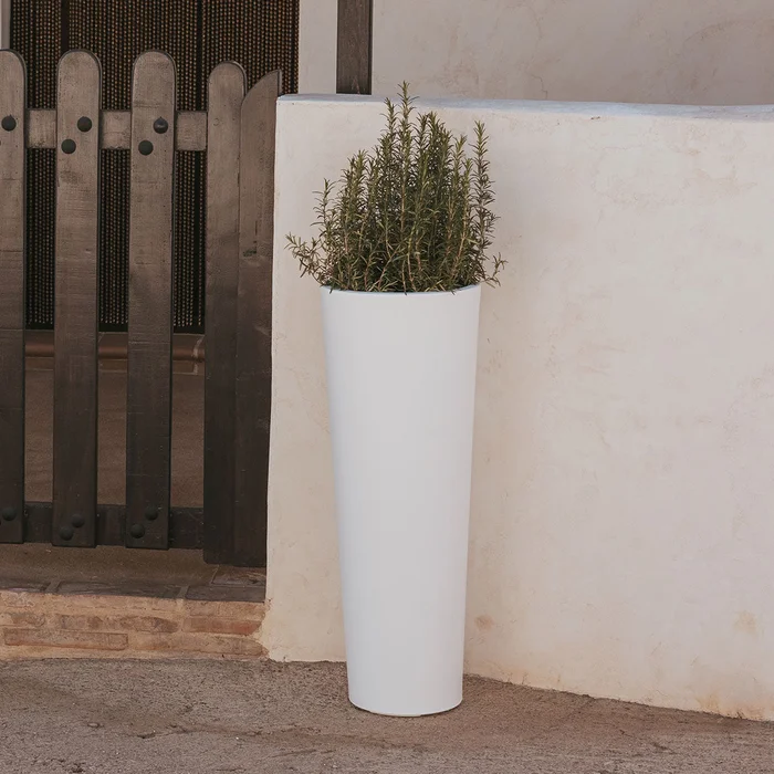 Blumentopf FICUS 80 FARBE