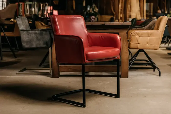 Büffelleder Esszimmerstuhl freischwingend Jose