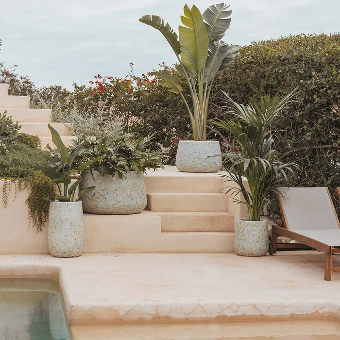 CIRCOOLAR RUNDPFLANZE CAMELIA FARBE Recyceltes Material