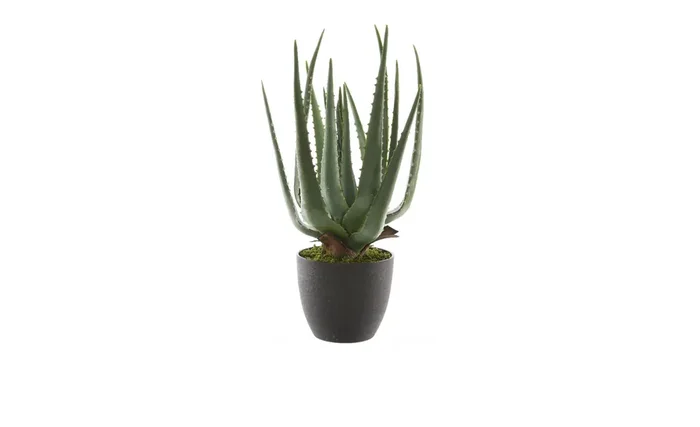 Deko-Aloe Vera im Topf 40 cm