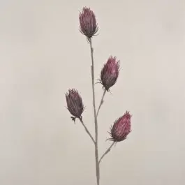 Deko Edeldistel Kunststoffschaum MISAEL, purpurrot, 100cm, Ø7cm