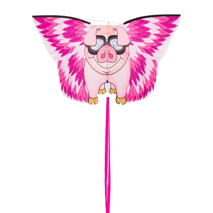 Drachen HQ Kites Floyd [Größe 130 cm]