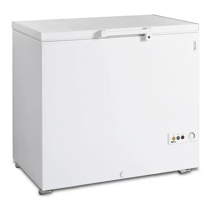 Eiscremetruhe FR 305SL – Esta