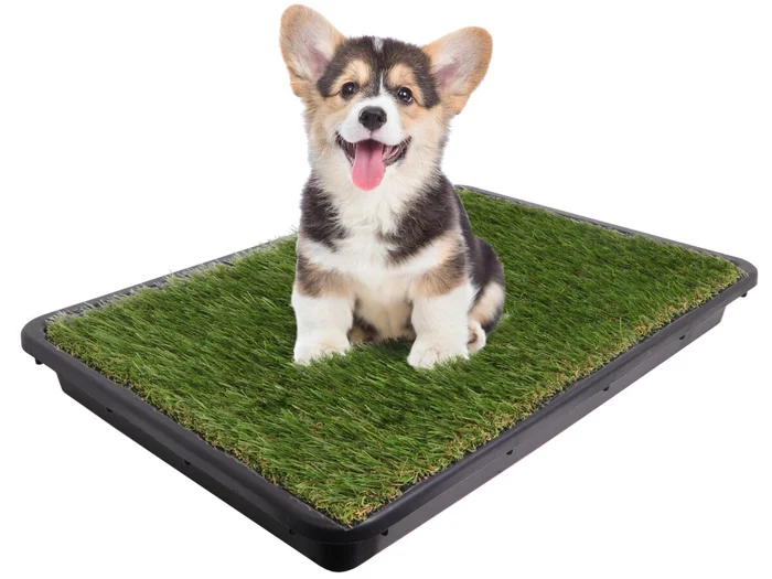 Ersatz Kunstrasen für Hundetoiletten