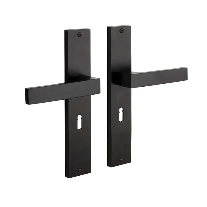 Federbelasteter Türgriff Lusso mit Schild mit Schlüsselloch