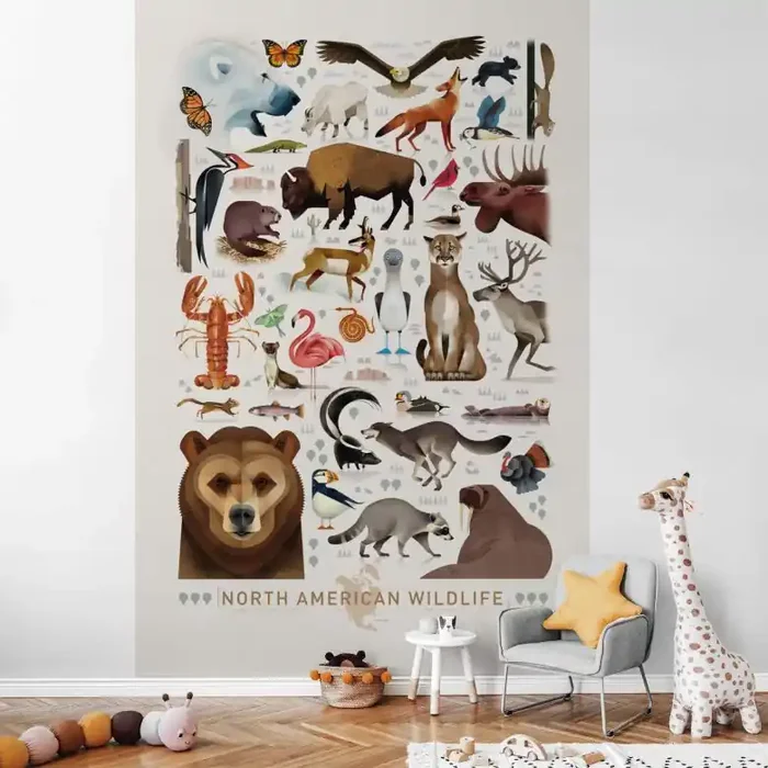 Fototapete Braun – North American Wildlife