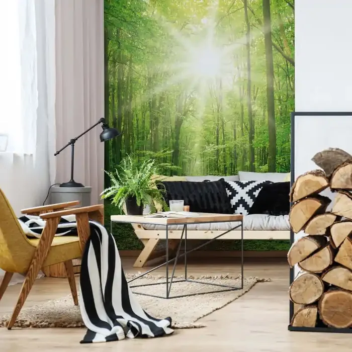 Fototapete Sunny Forest