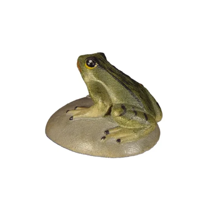 Frog on a stone