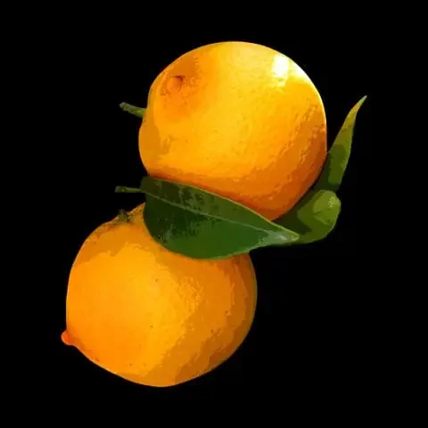 Giclée-Druck ARANCIA EROTICA von Gennaro Regina – Einzigartiges Stück