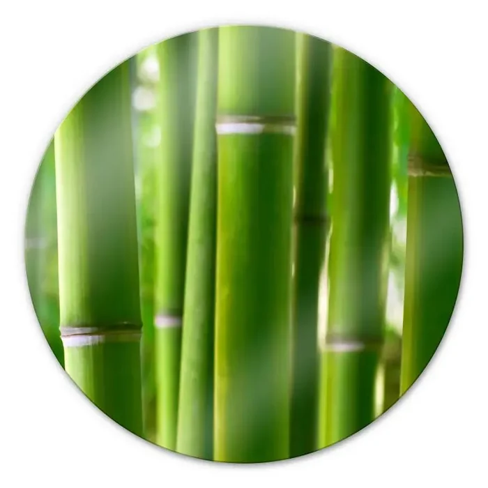 Glasbild Bambuswald – rund