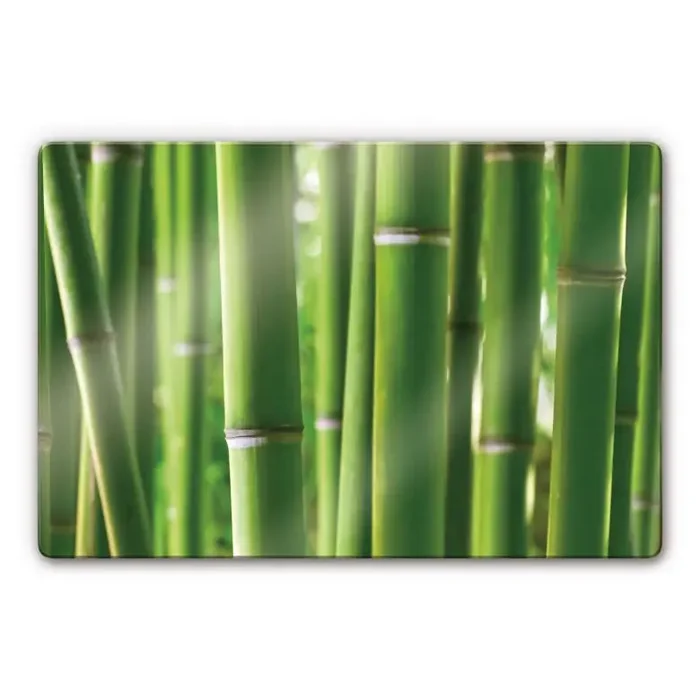Glasbild Bambuswald
