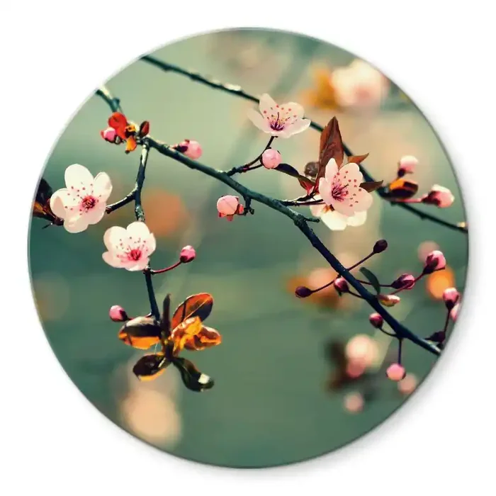 Glasbild Frühlingserwachen – rund