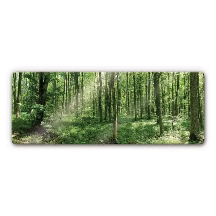 Glasbild Waldpanorama 01