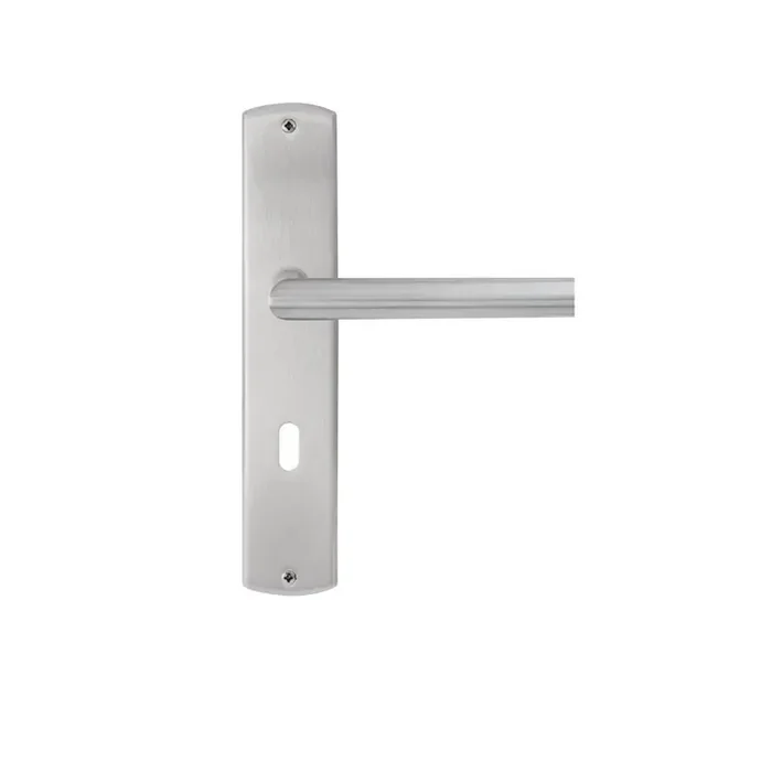 Griffwelt Türgriffgarnitur Renovierungs-Langschild Ferrara Nickel matt