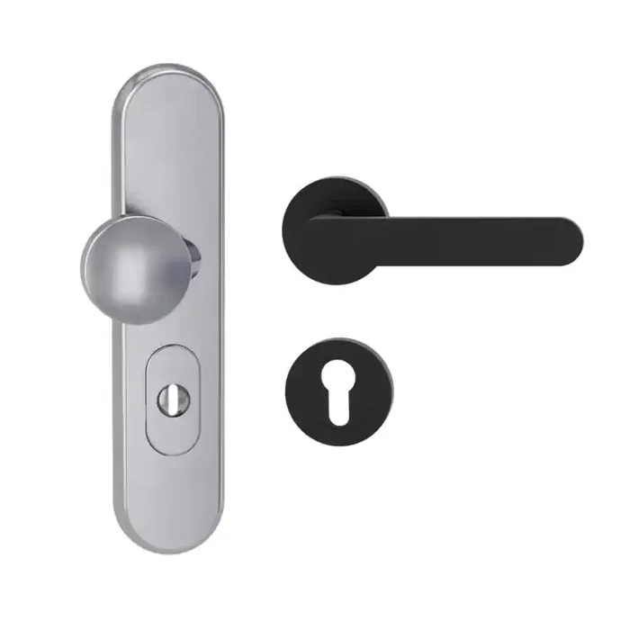 Griffwerk Kombi-Schutz-Garnitur TITANO_882 ES1 Avus Graphitschwarz