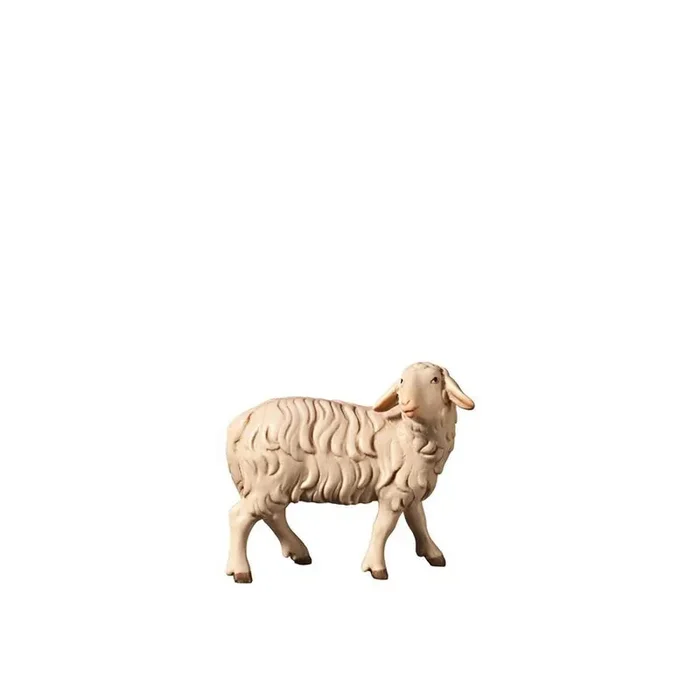 H-Sheep looking backwards
