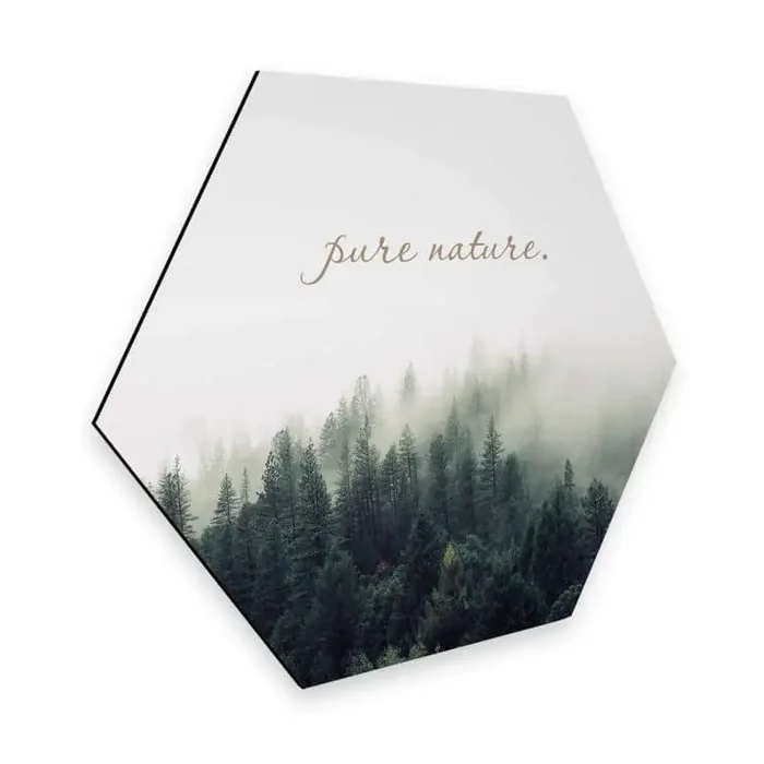 Hexagon – Alu-Dibond – Pure Nature