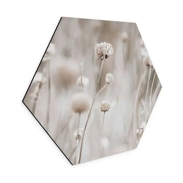 Hexagon Wandbild Getrocknete Blüten in sanften Tönen – Annie – Alu-Dibond
