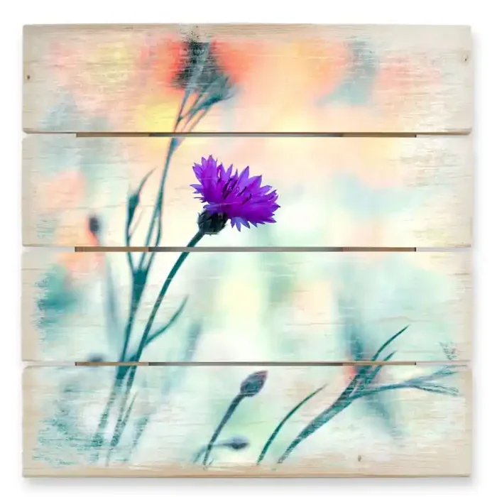 Holzbild Bravin – Luminous purple – 40×41,5 cm