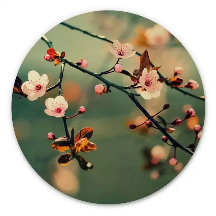 Holzbild Frühlingserwachen – Rund