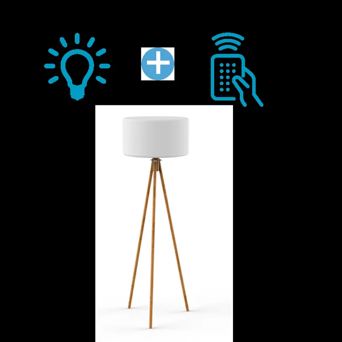 IN & OUT Glühlampe A70 9W E27 + Fernbedienung