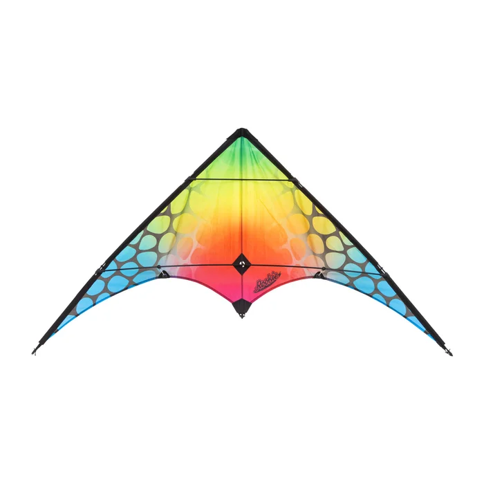 lenkbarer Drachen HQ Kites Stunt Kite Rookie [Größe 120×60 cm]