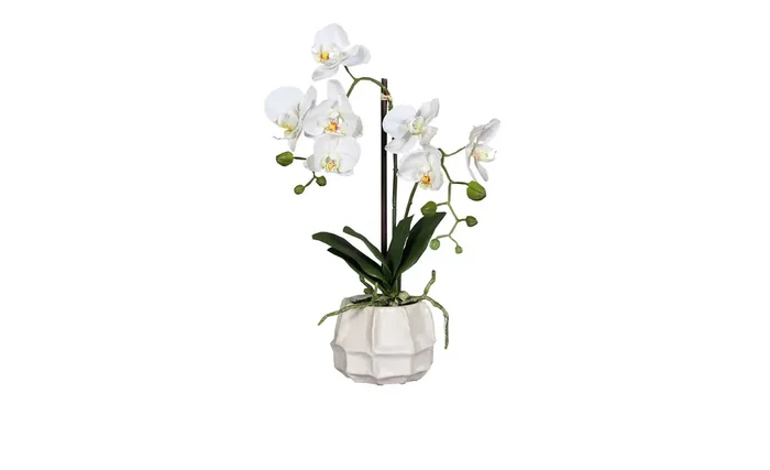 Orchidee 48 cm