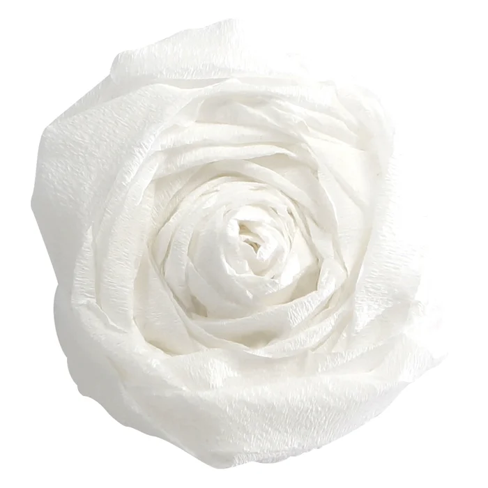 Paket mit 10 Krepppapier-Blättern 40% Clairefontaine [Größe 200×50 cm]