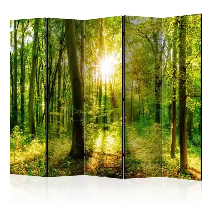 Paravent, Raumteiler freistehend, Trennwand – Forest Rays II, 5-teilig – einseitig bedruckt – 225×172 cm