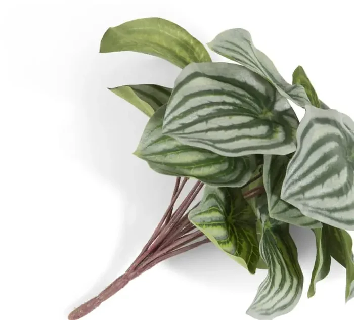 Peperomia Bush H25cm Kunstblume – Gruen