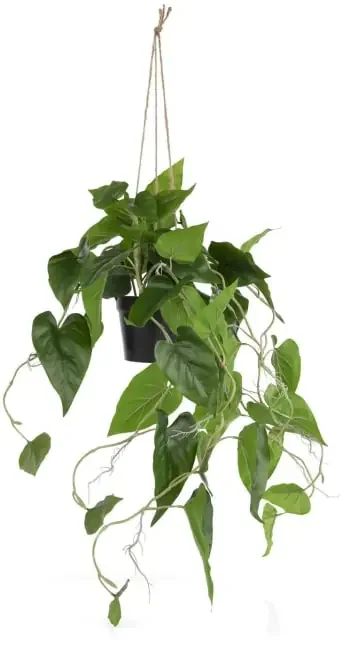 Philodendron Scandens H80cm Kunstpflanze – Gruen