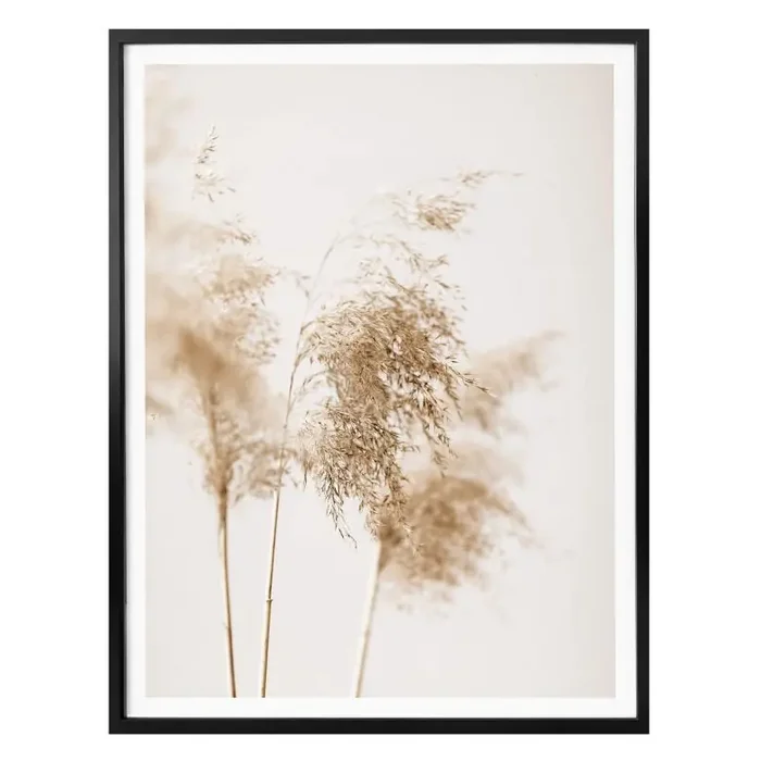 Poster 1X Studio – Sommergräser