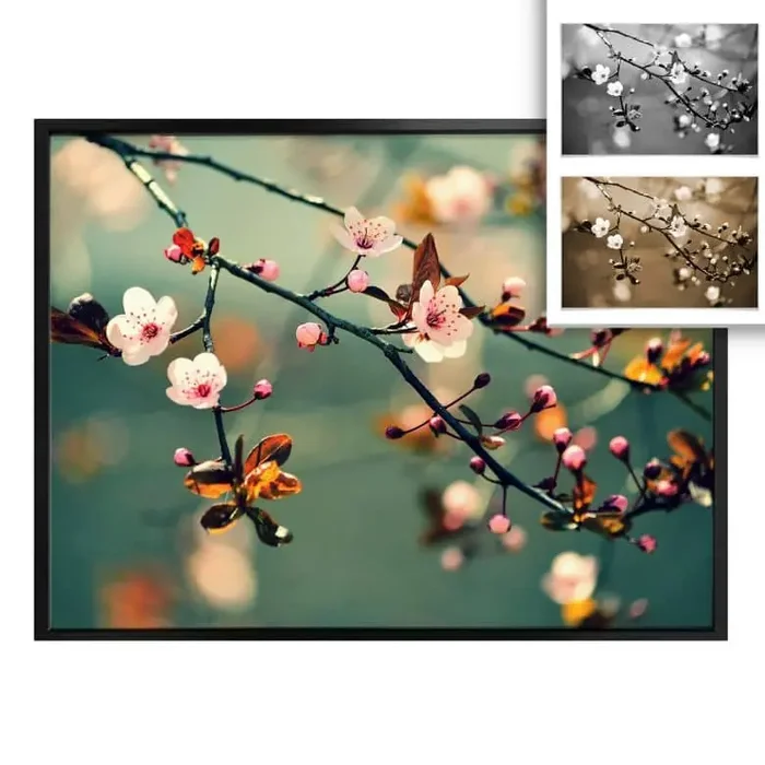 Poster Frühlingserwachen