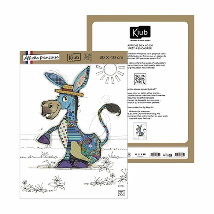 Poster Kiub Kook Ane [Größe 30×40 cm]