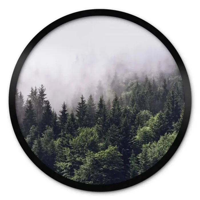 Poster Nebliger Wald – Rund