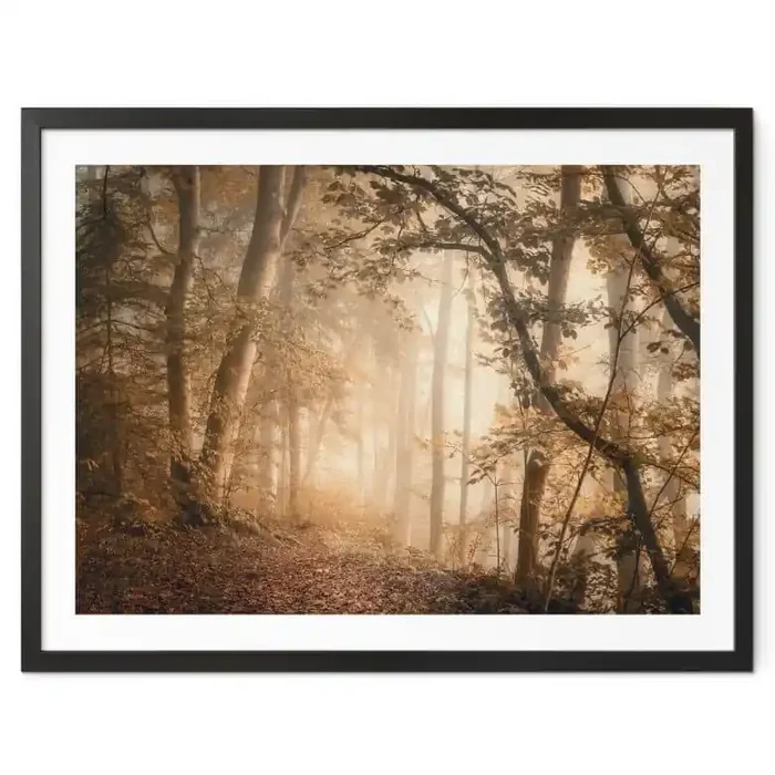 Poster Wald im morgendlichen Nebel – Maier