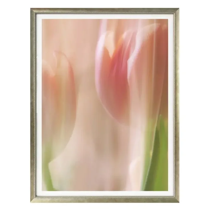 Poster Westum – Shy tulips