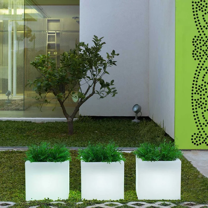 QUADRATISCHE PFLANZE MIT LICHT NARCISO 40