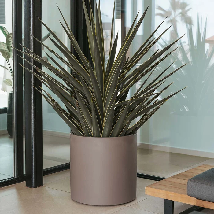 RUNDE PFLANZEN HORTENSIA 50 FARBE